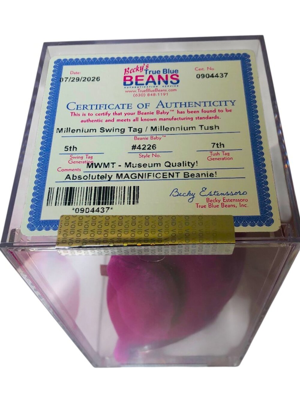 CERTIFIED Ty Beanie Baby Millennium Bear 1999 Unique Structural Flaw and Errors